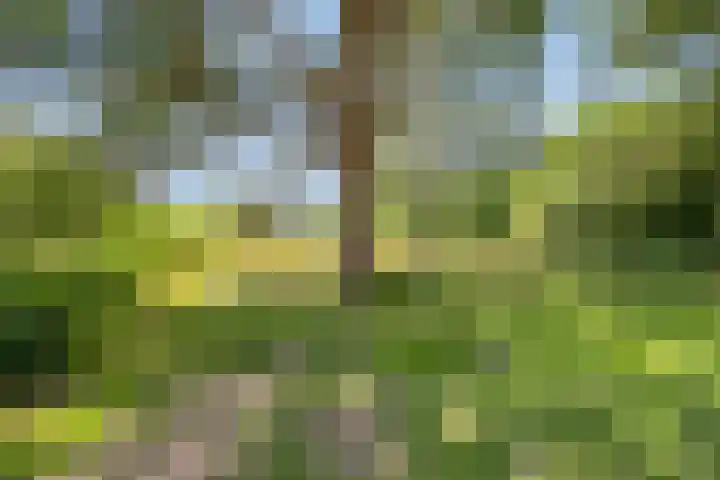 Nemelaar 70 Haarlem thumbnail 31