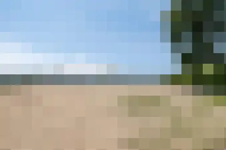 Nemelaar 70 Haarlem thumbnail 32
