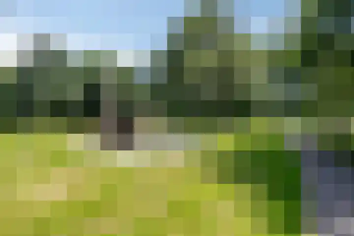 Nemelaar 70 Haarlem thumbnail 33
