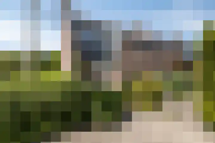 Nemelaar 70 Haarlem thumbnail 41