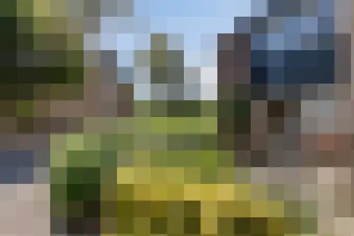 Nemelaar 70 Haarlem thumbnail 5