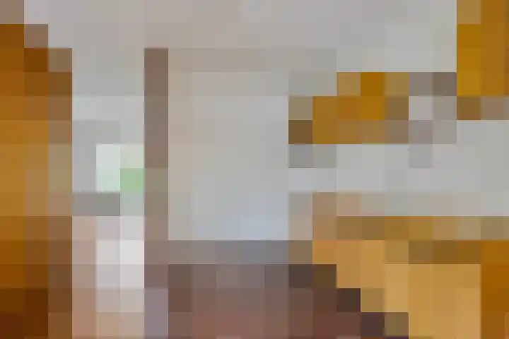 Nemelaar 70 Haarlem thumbnail 8