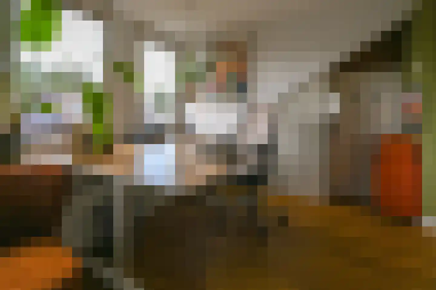 Nemelaar 72 Haarlem thumbnail 31