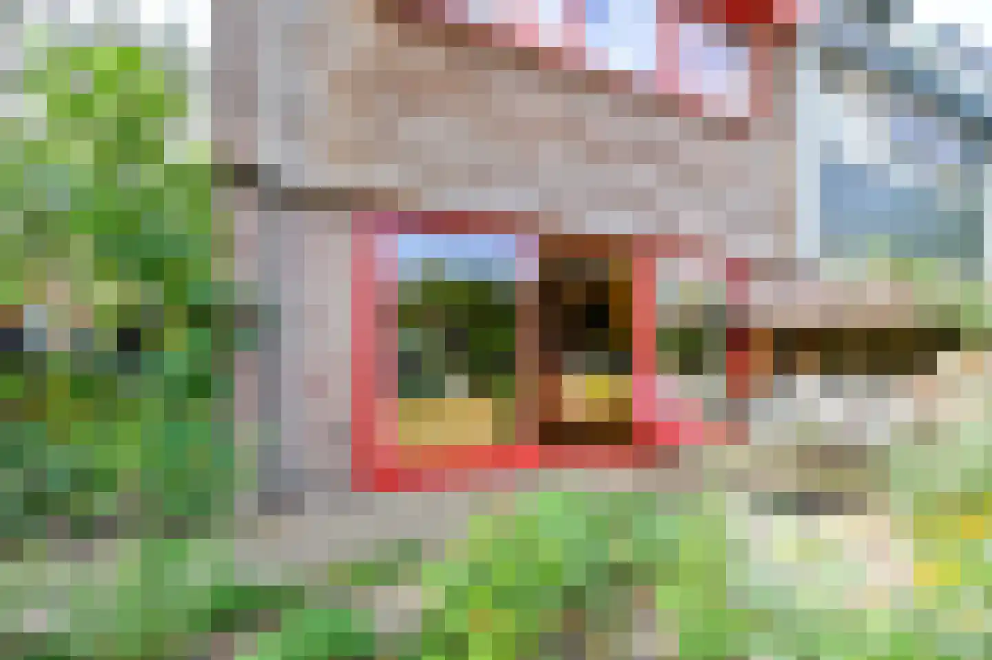 Nemelaar 72 Haarlem thumbnail 34