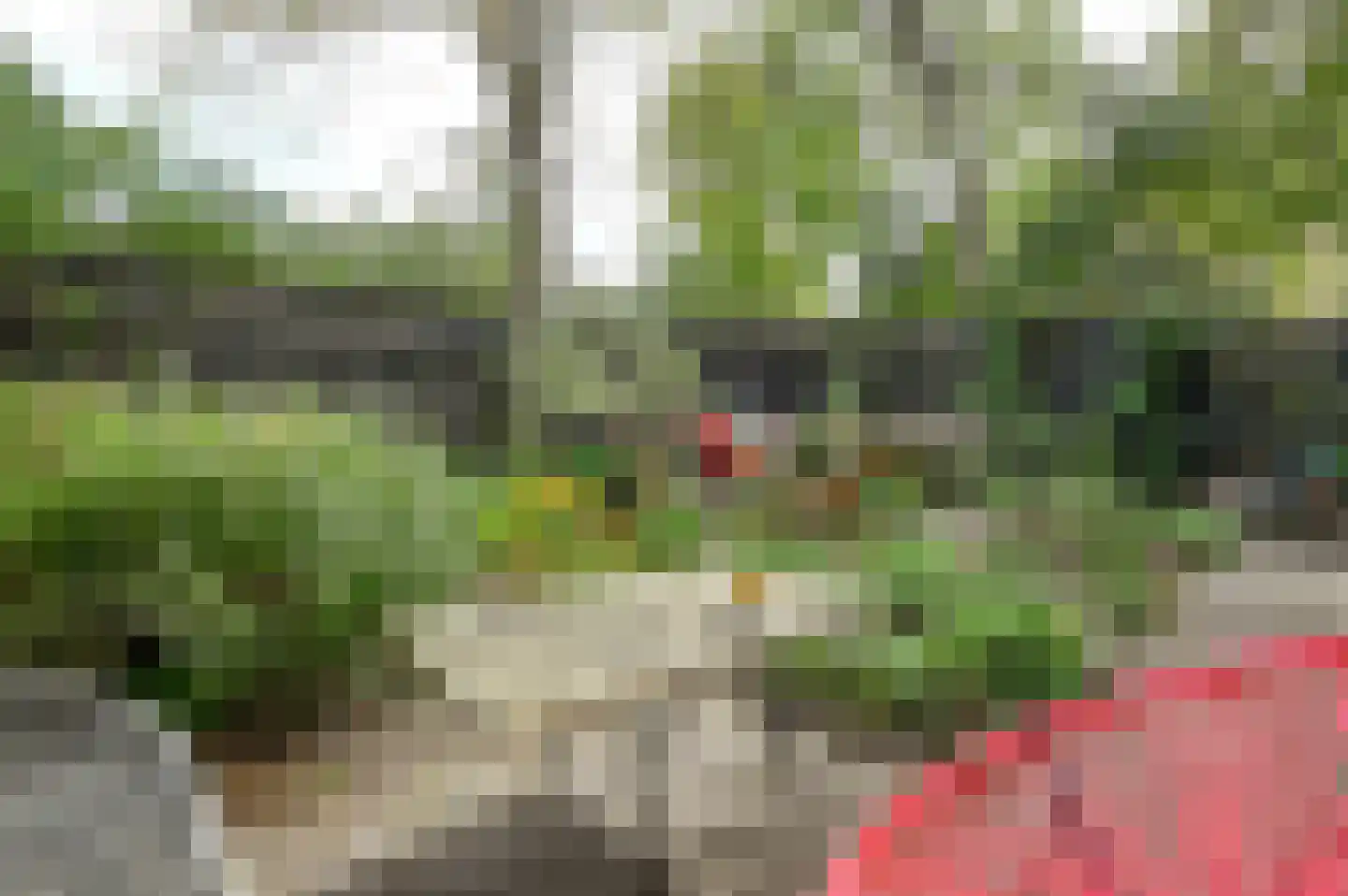 Nemelaar 72 Haarlem thumbnail 36