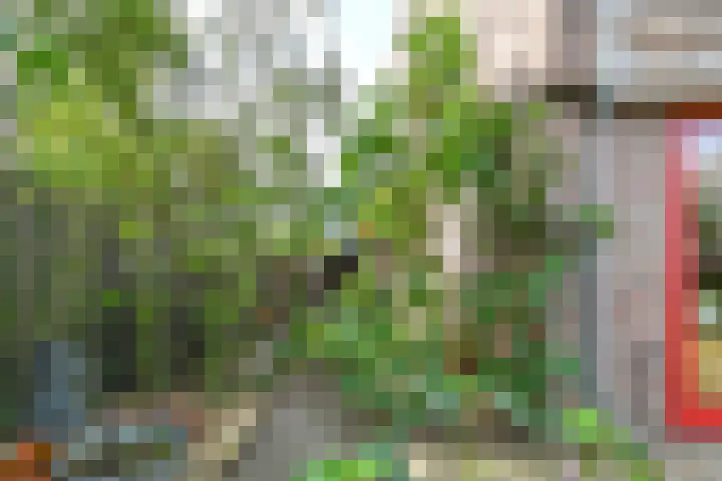 Nemelaar 72 Haarlem thumbnail 38