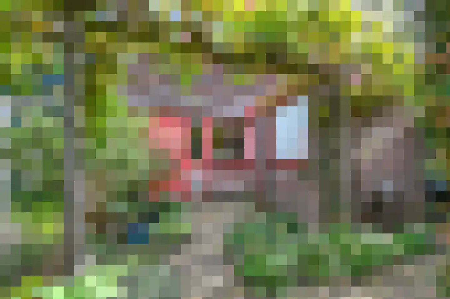 Nemelaar 72 Haarlem thumbnail 42