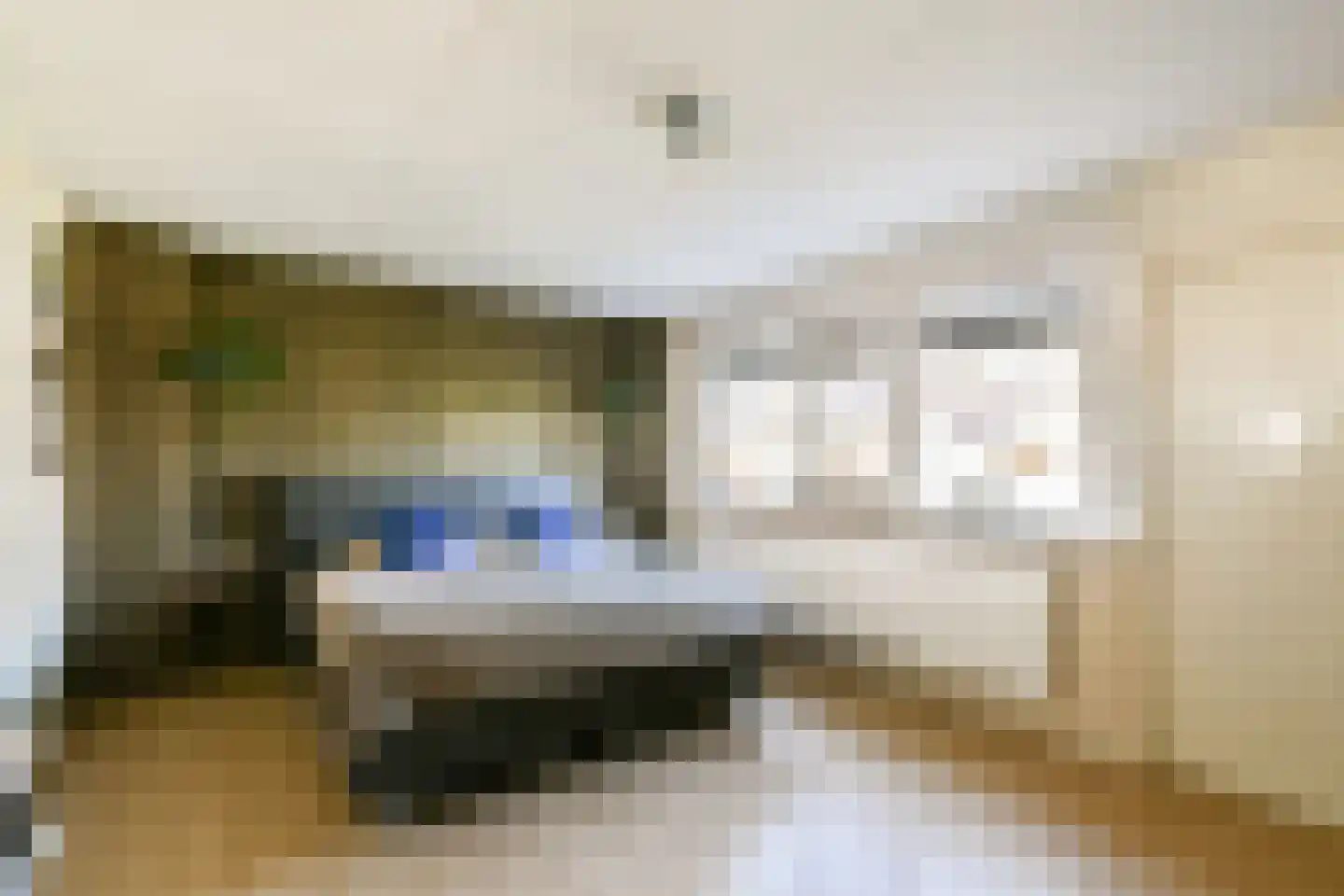 Nemelaar 78 Haarlem thumbnail 13