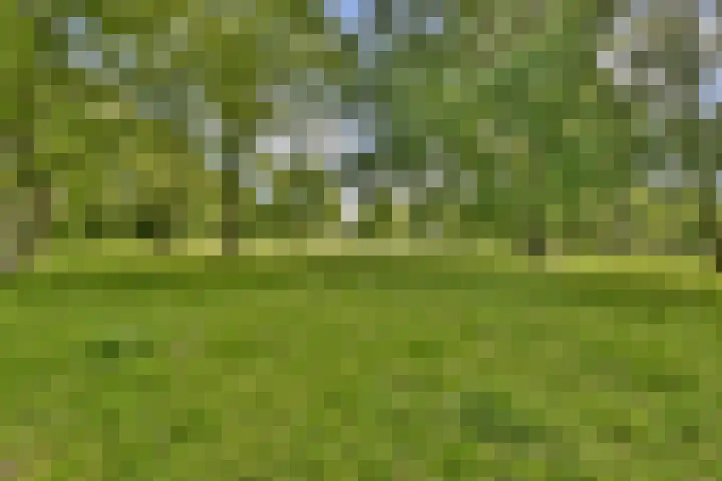 Nemelaar 78 Haarlem thumbnail 28