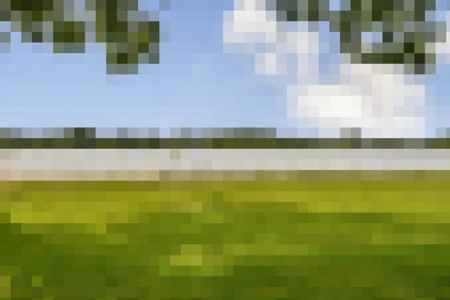 Nemelaar 78 Haarlem thumbnail 30