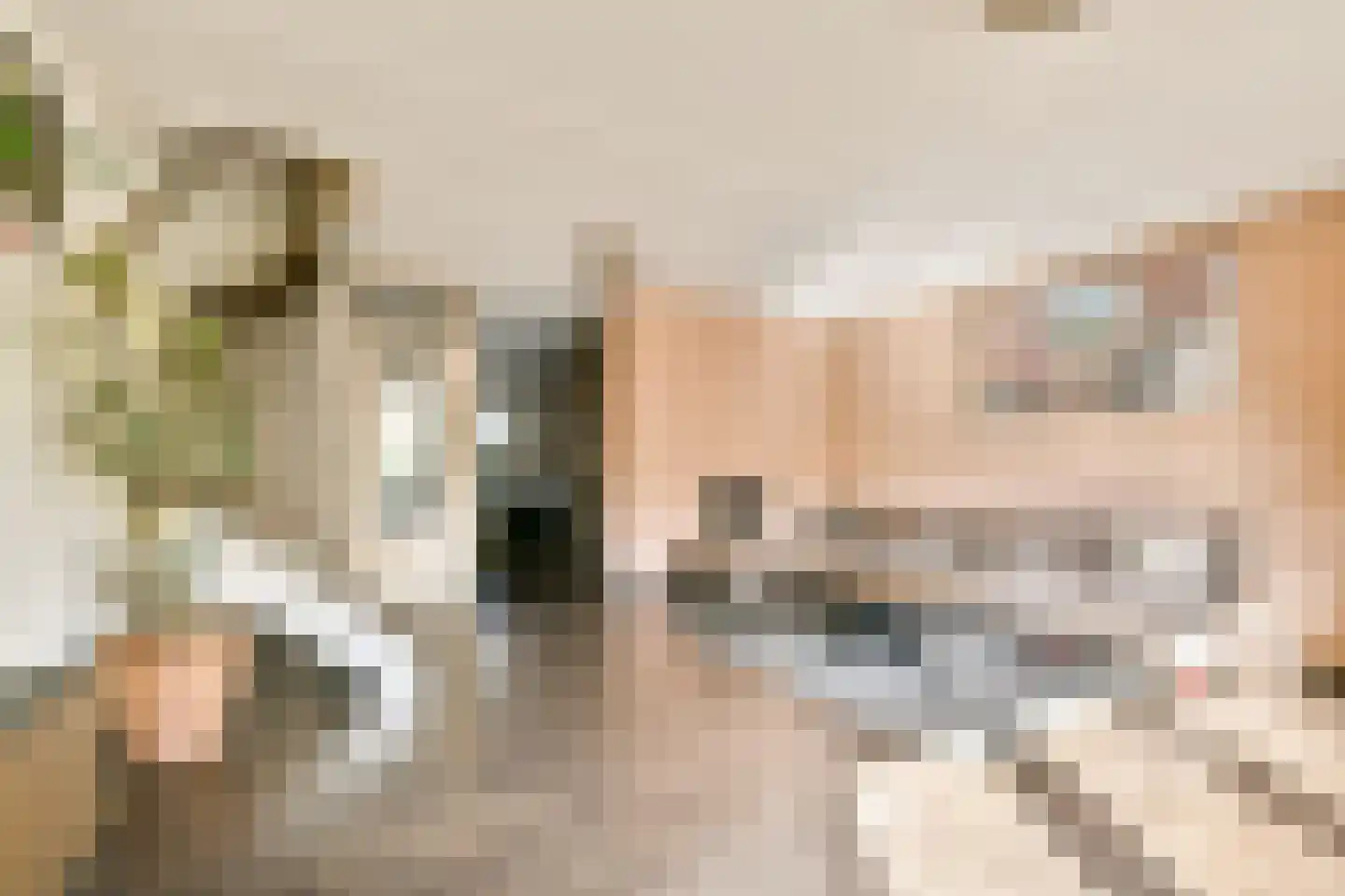 Nemelaar 78 Haarlem thumbnail 4