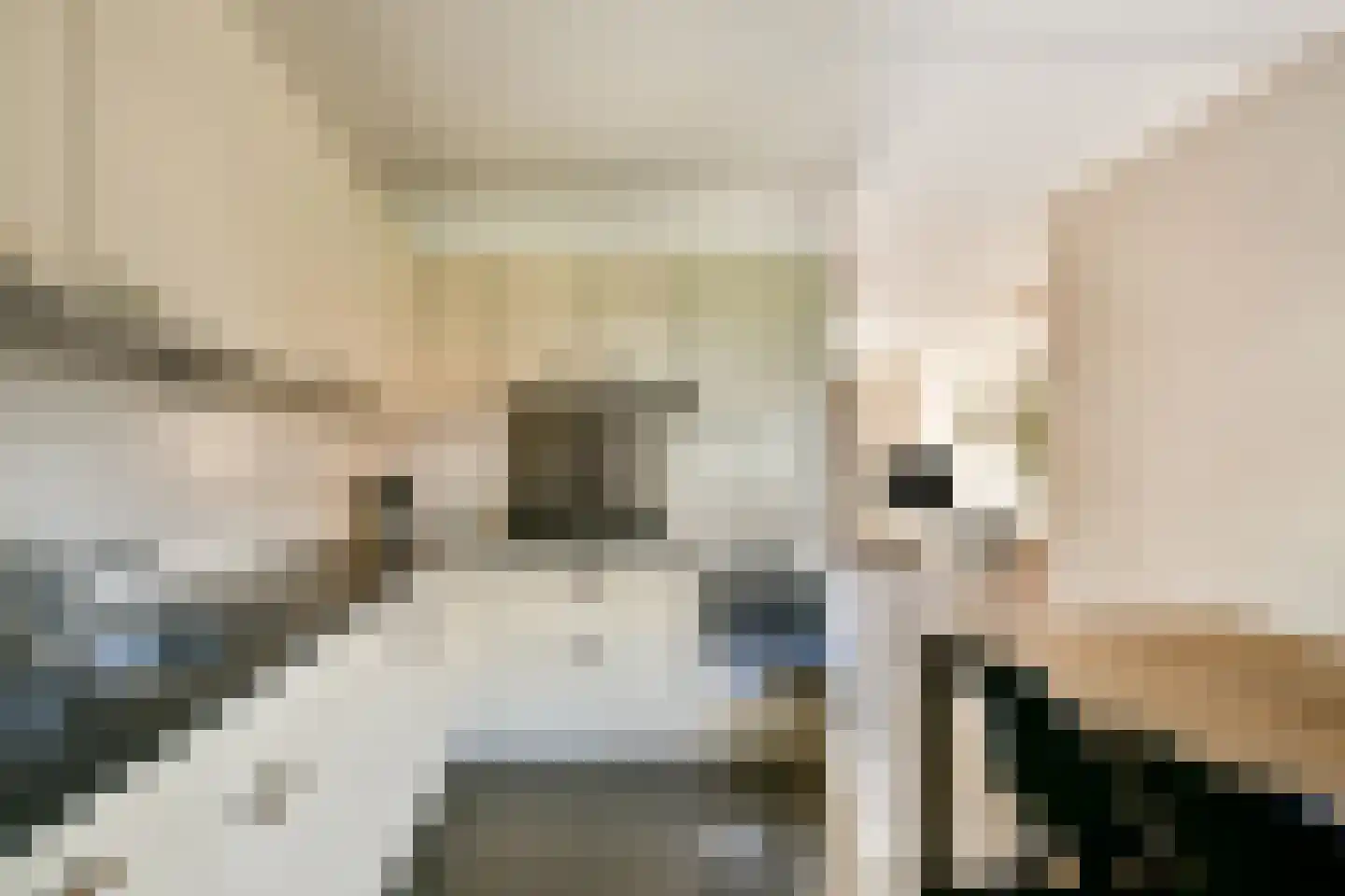 Nemelaar 78 Haarlem thumbnail 8