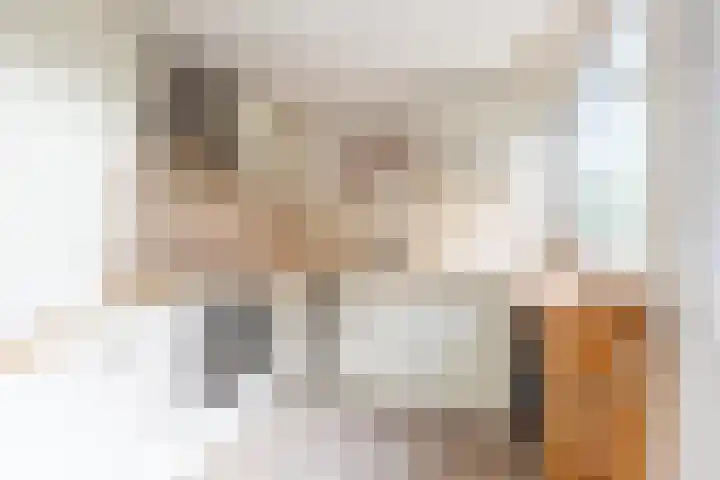 Nemelaar 88 Haarlem thumbnail 15