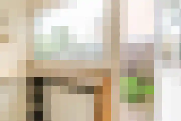 Nemelaar 88 Haarlem thumbnail 16