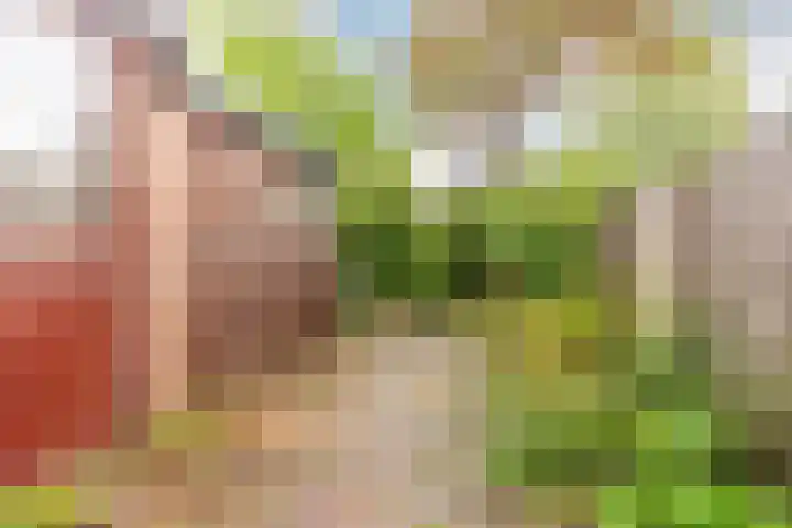 Nemelaar 88 Haarlem thumbnail 17