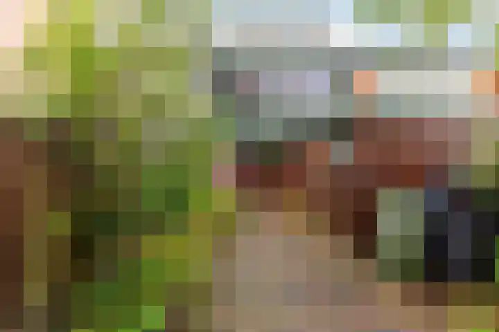 Nemelaar 88 Haarlem thumbnail 18