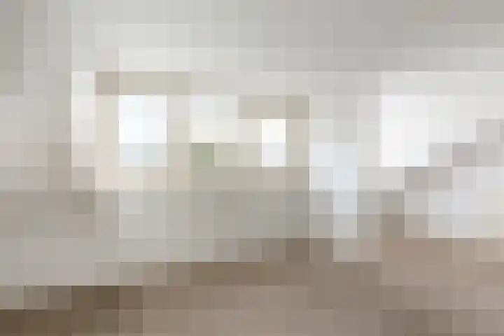 Nemelaar 88 Haarlem thumbnail 25