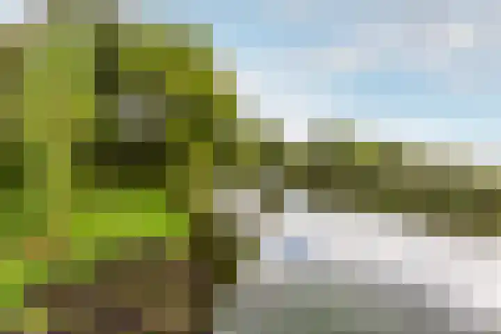 Nemelaar 88 Haarlem thumbnail 29