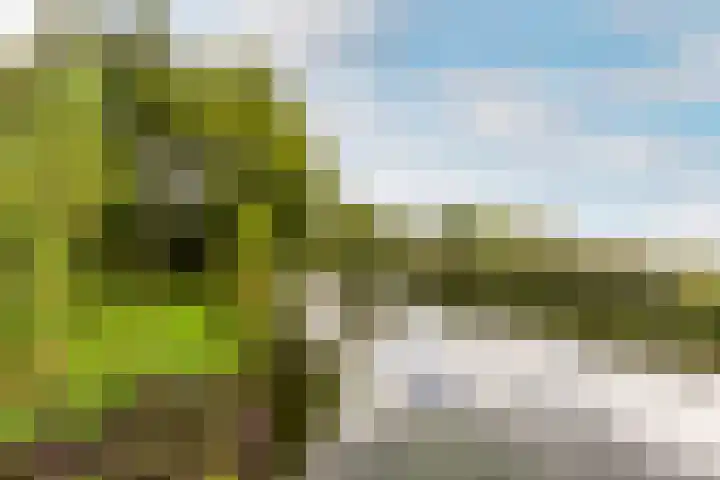 Nemelaar 88 Haarlem thumbnail 30