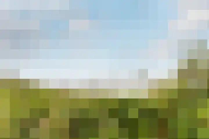 Nemelaar 88 Haarlem thumbnail 31