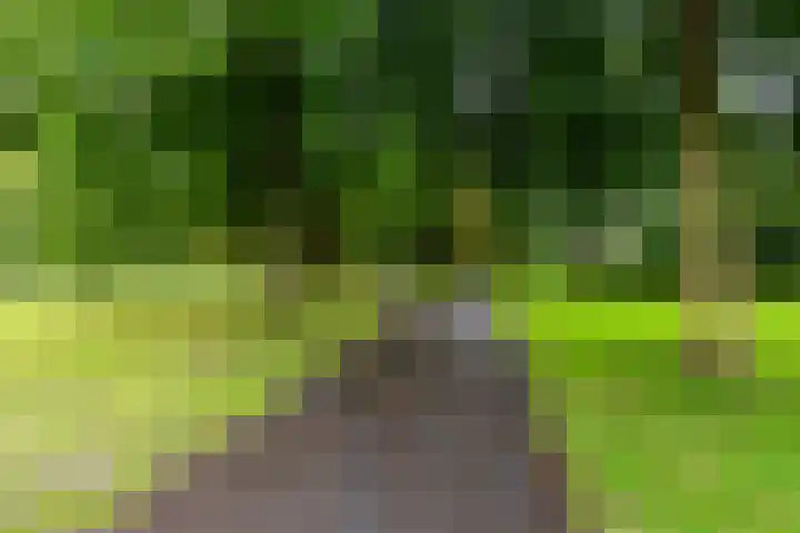 Nemelaar 88 Haarlem thumbnail 32