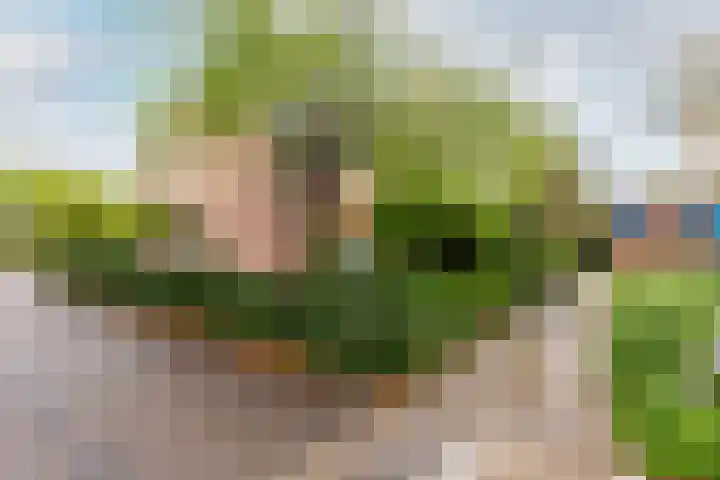 Nemelaar 88 Haarlem thumbnail 6