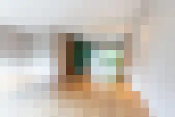 Nemelaar 88 Haarlem thumbnail 8
