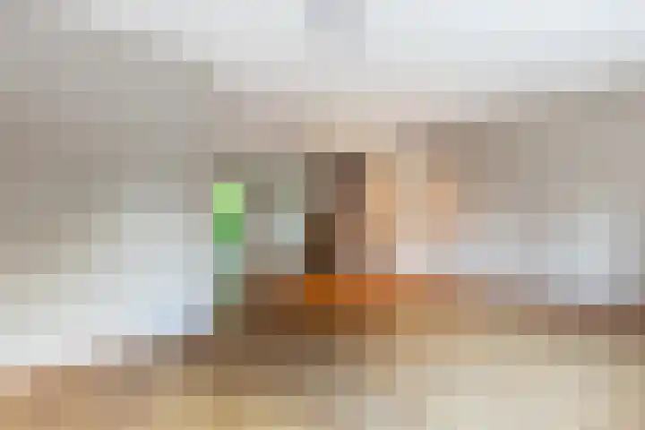 Nemelaar 88 Haarlem thumbnail 9