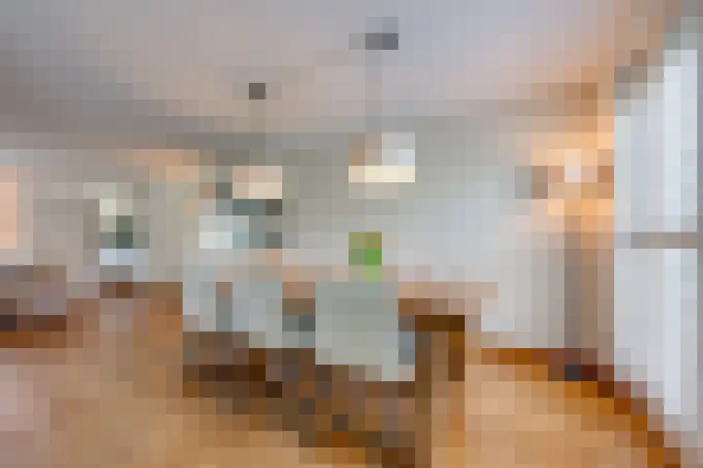 Nemelaer 11 Udenhout thumbnail 20