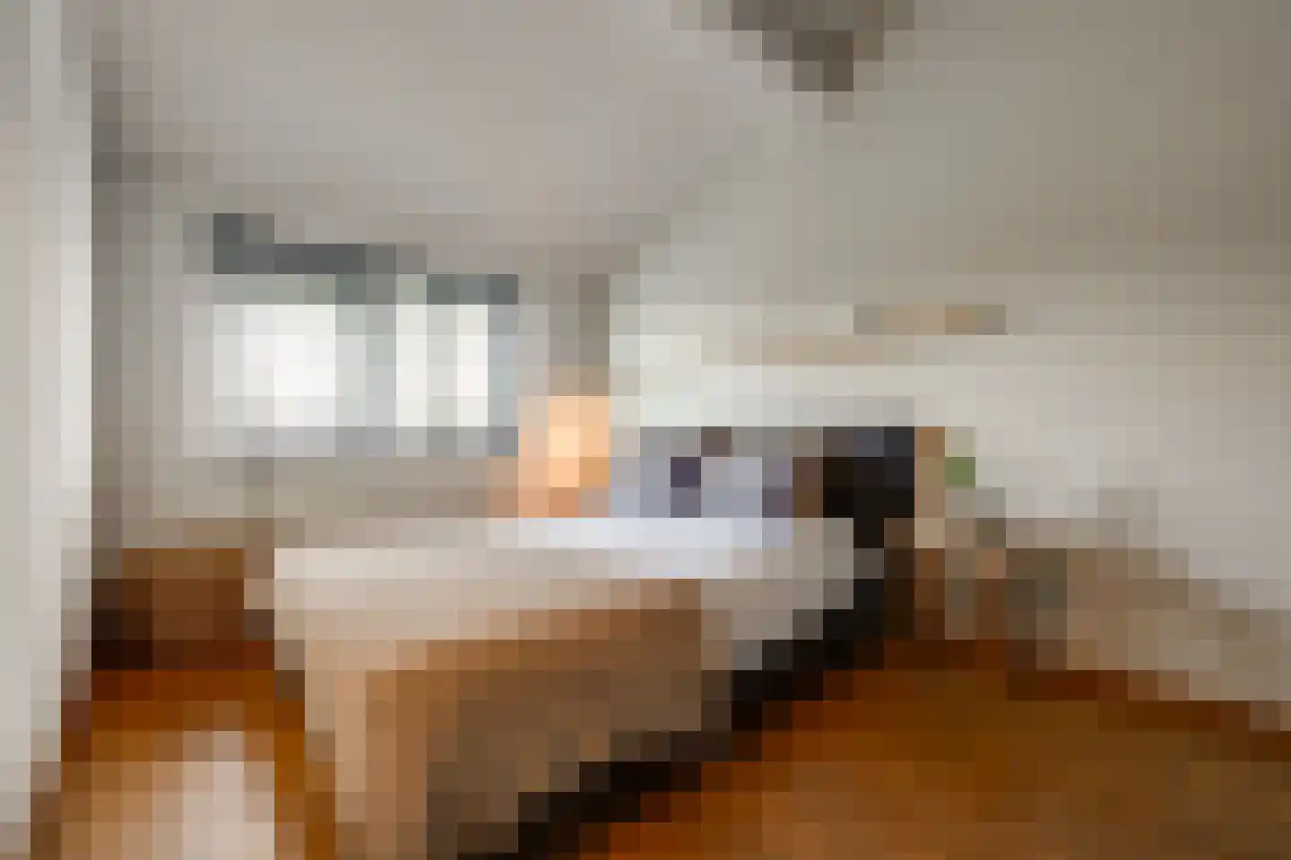 Nemelaer 11 Udenhout thumbnail 32