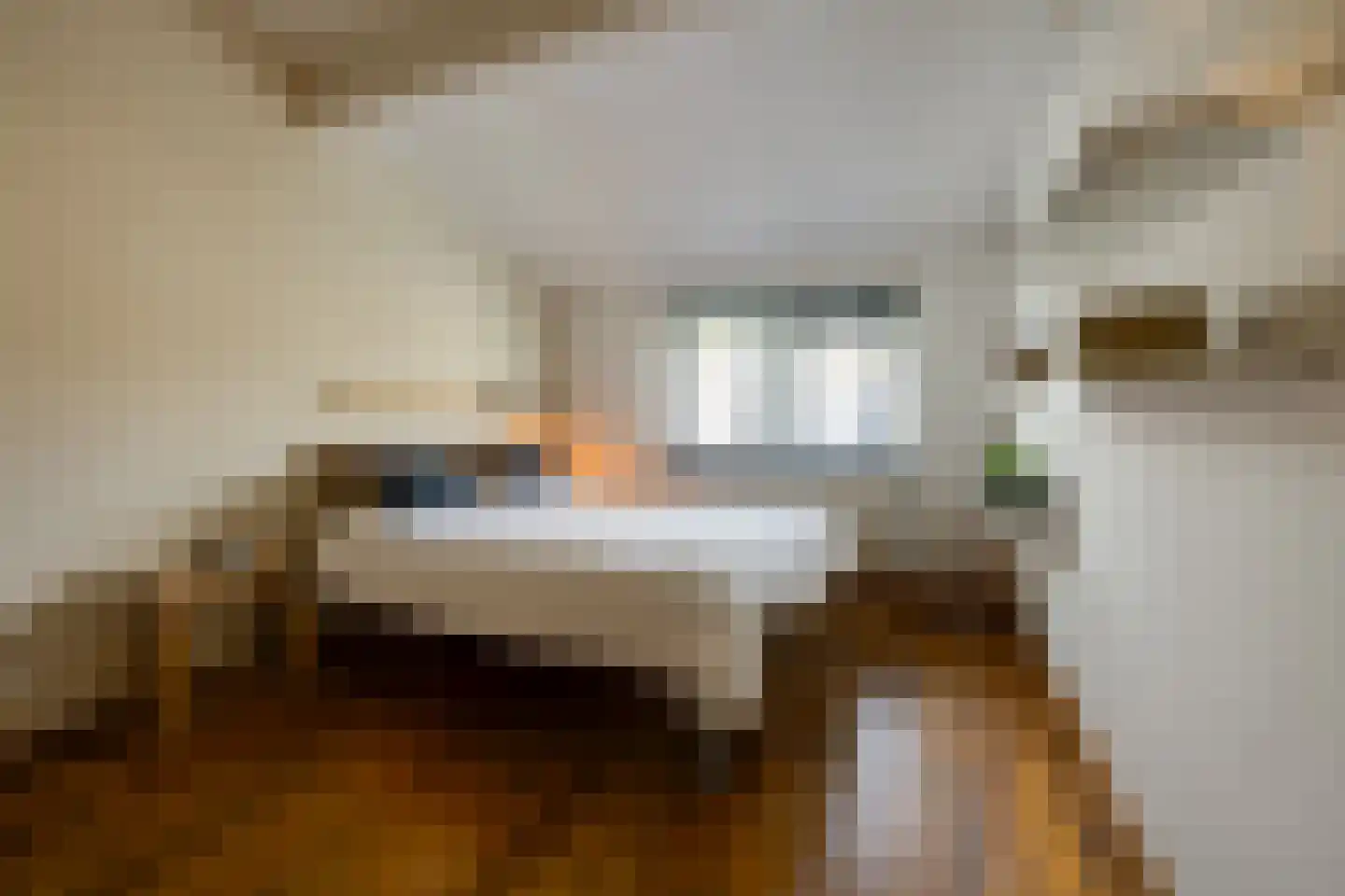 Nemelaer 11 Udenhout thumbnail 34