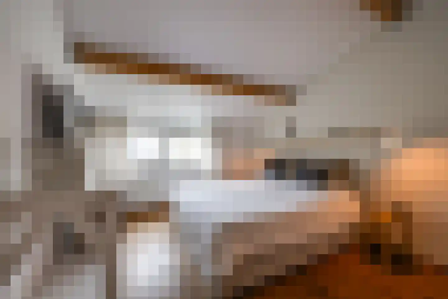 Nemelaer 11 Udenhout thumbnail 36