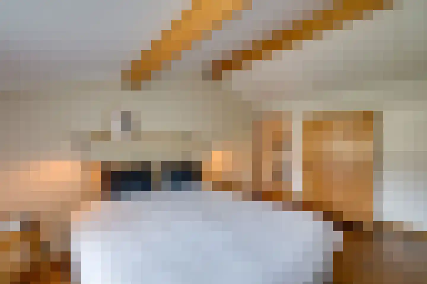 Nemelaer 11 Udenhout thumbnail 37