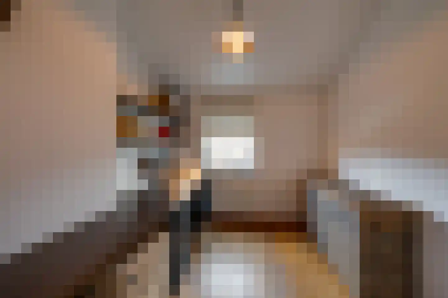 Nemelaer 11 Udenhout thumbnail 38
