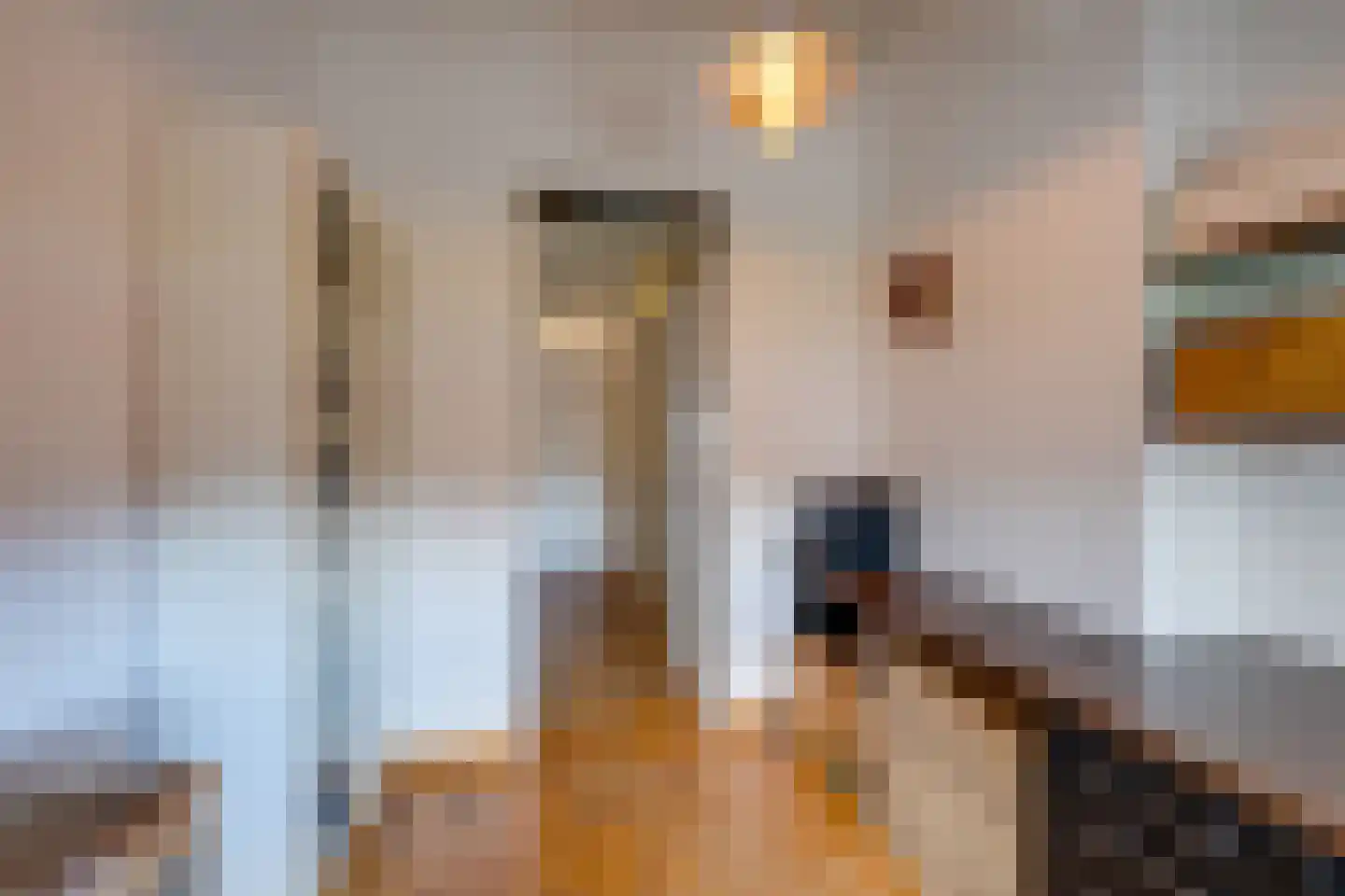 Nemelaer 11 Udenhout thumbnail 39