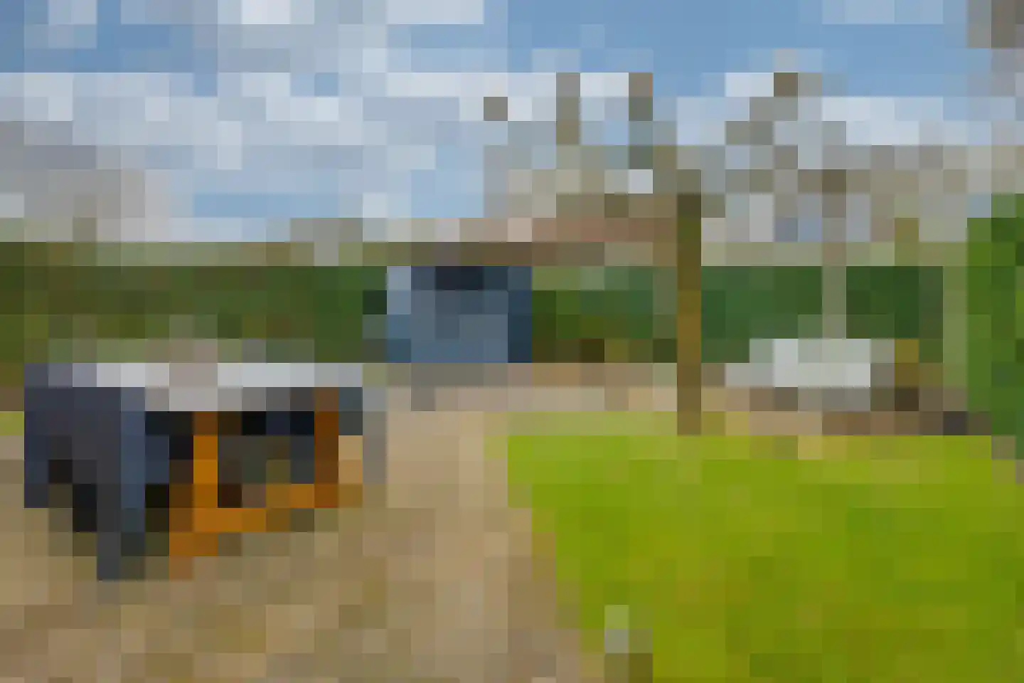 Nemelaer 11 Udenhout thumbnail 43