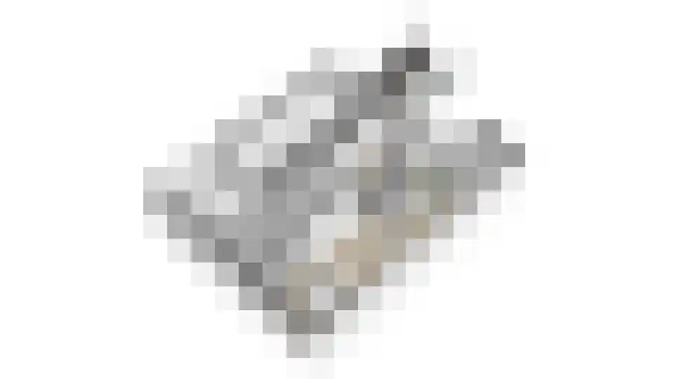 Nemelaer 11 Udenhout thumbnail 53