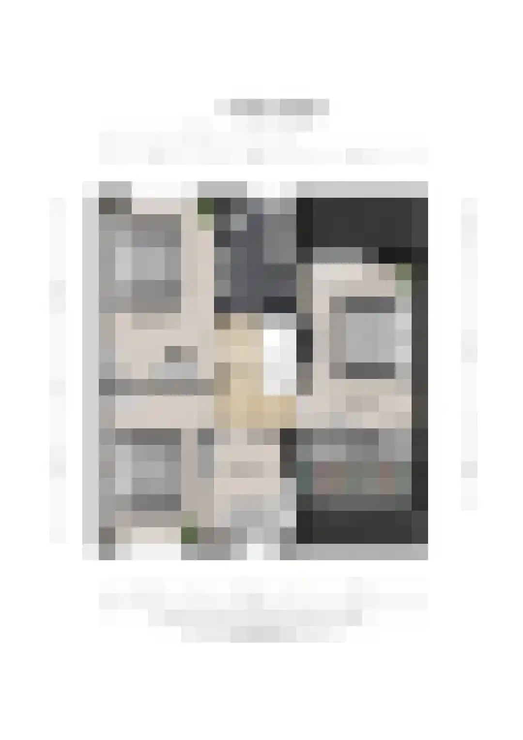 Nemelaer 11 Udenhout thumbnail 55