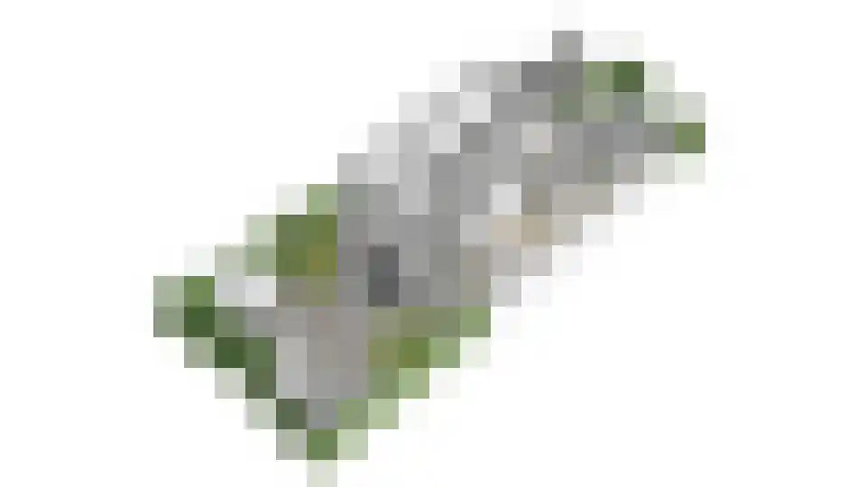 Nemelaer 11 Udenhout thumbnail 59