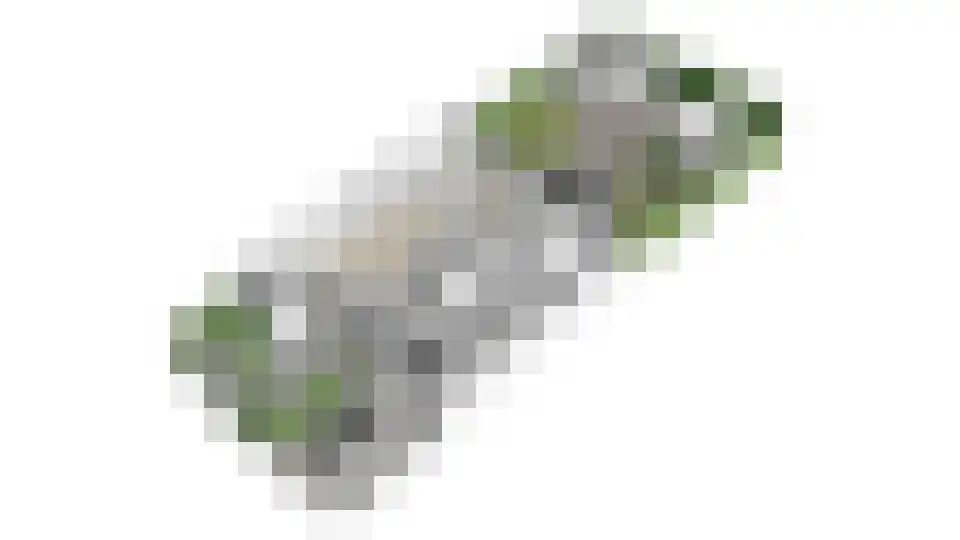 Nemelaer 11 Udenhout thumbnail 60