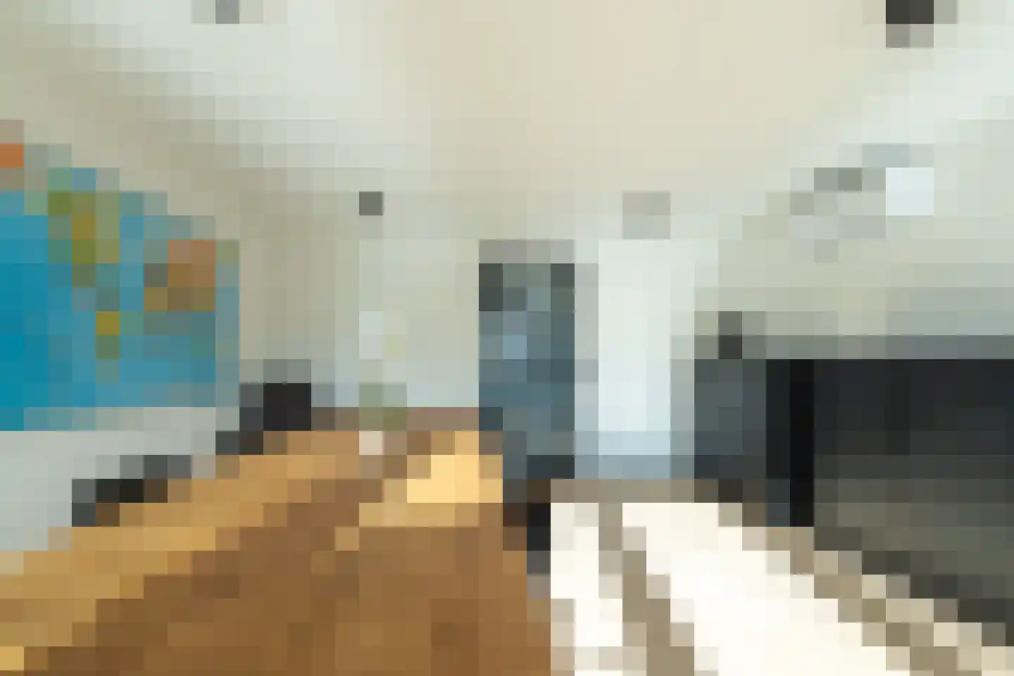 Nemelaer 3 Oosterhout thumbnail 12