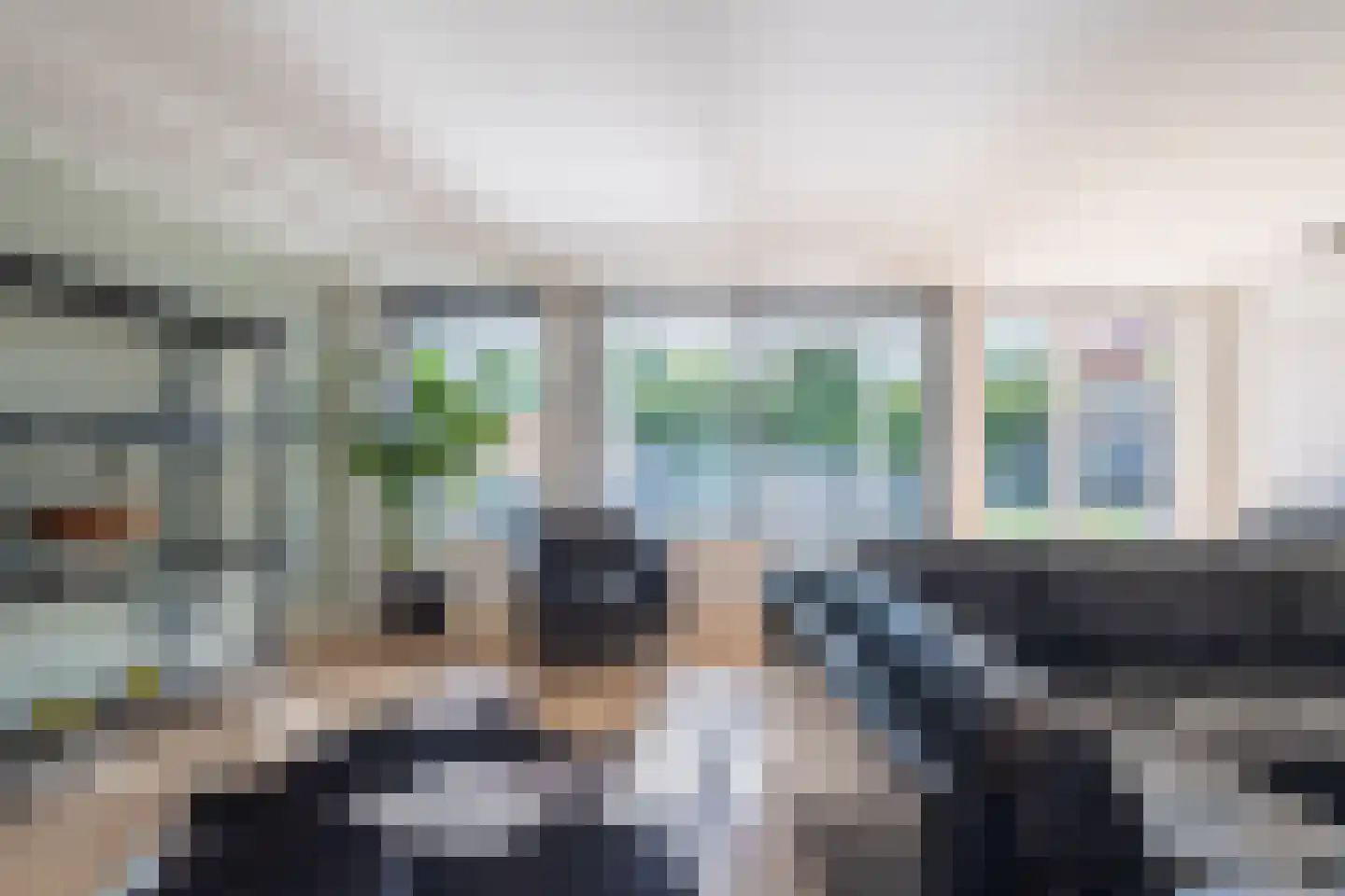 Nemelaer 3 Oosterhout thumbnail 15