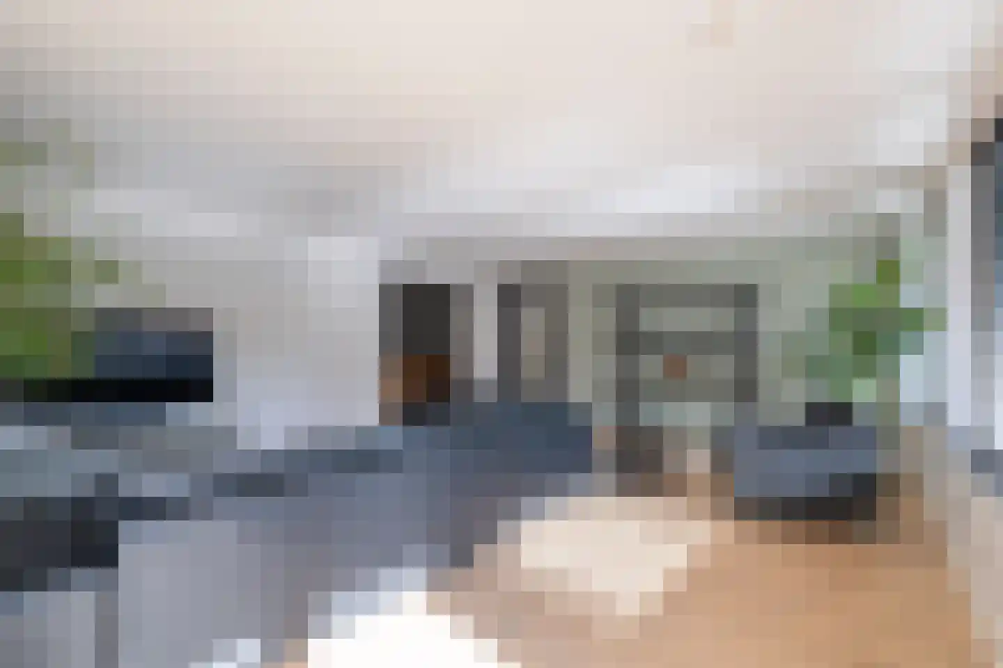 Nemelaer 3 Oosterhout thumbnail 16