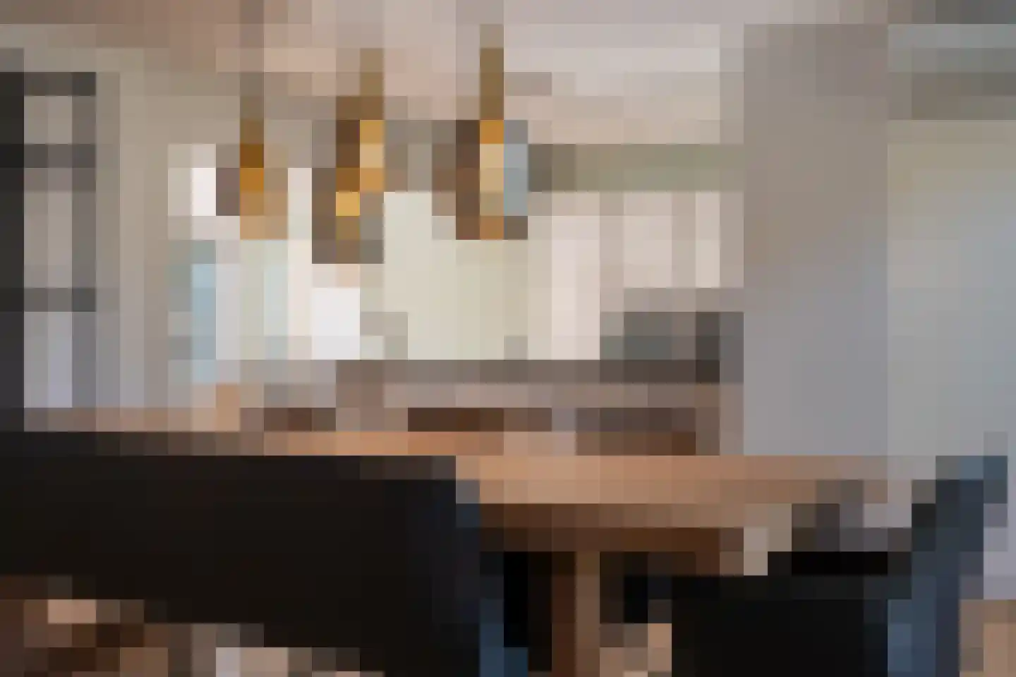 Nemelaer 3 Oosterhout thumbnail 22