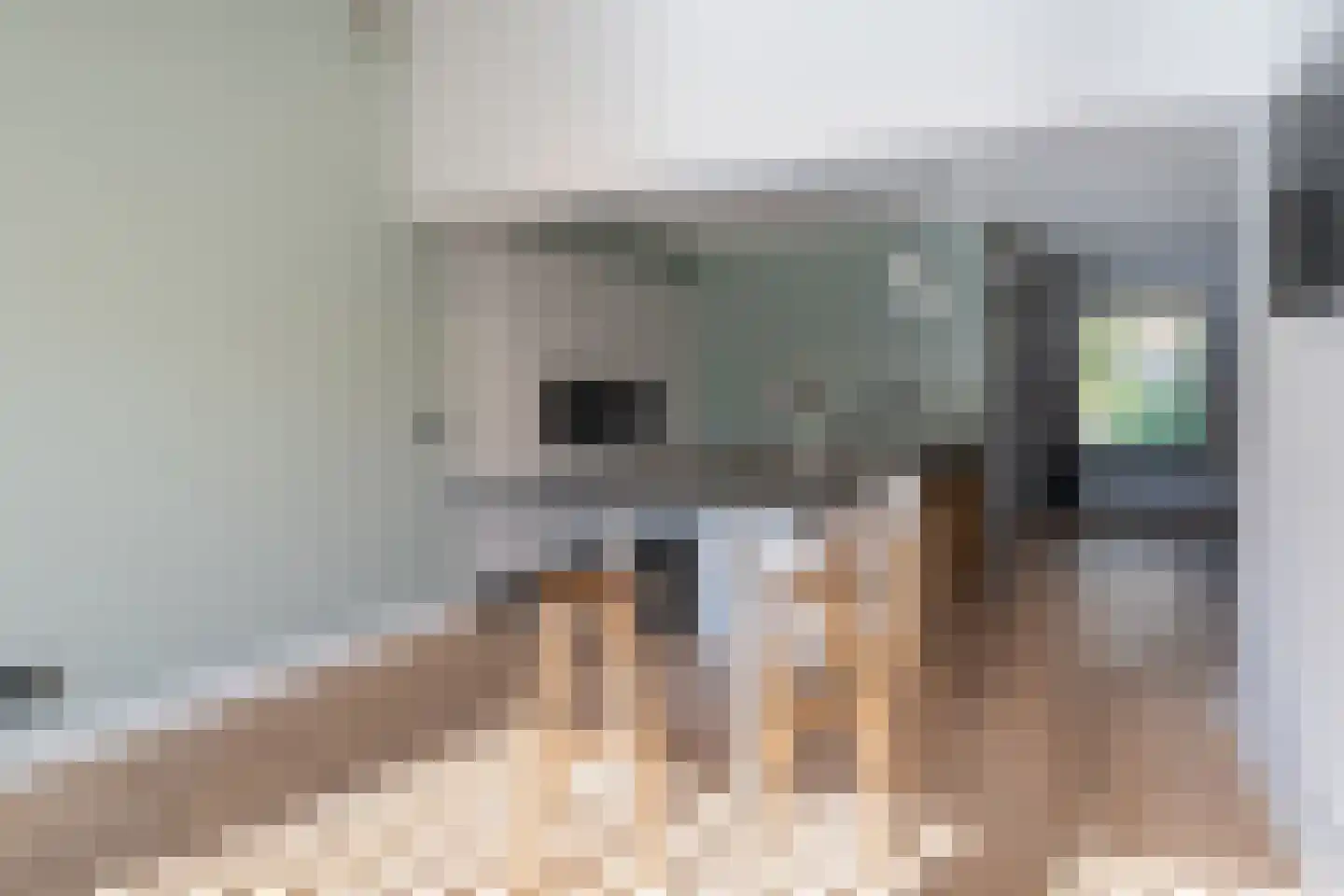 Nemelaer 3 Oosterhout thumbnail 25
