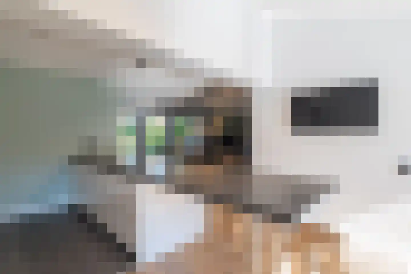Nemelaer 3 Oosterhout thumbnail 26