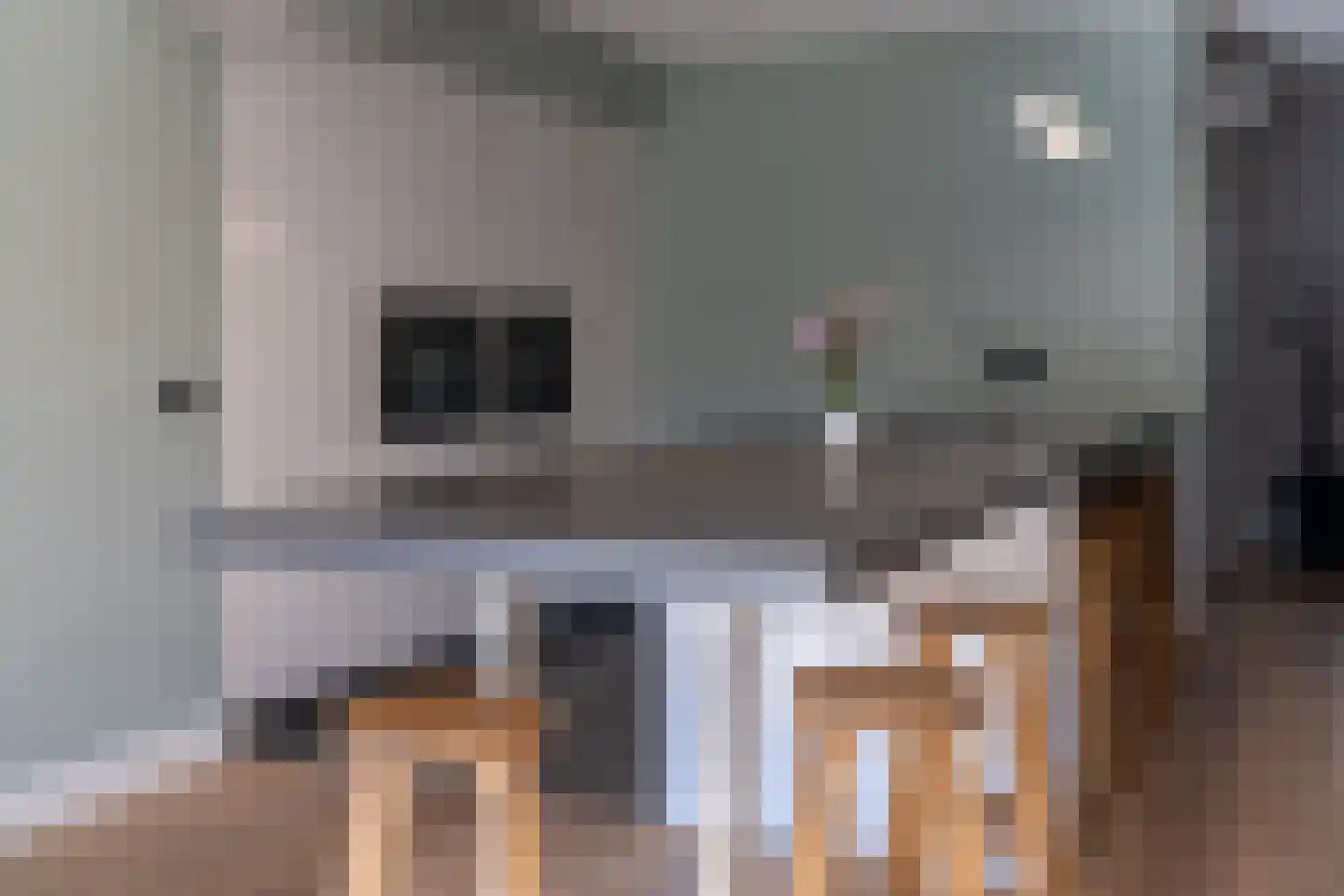 Nemelaer 3 Oosterhout thumbnail 27