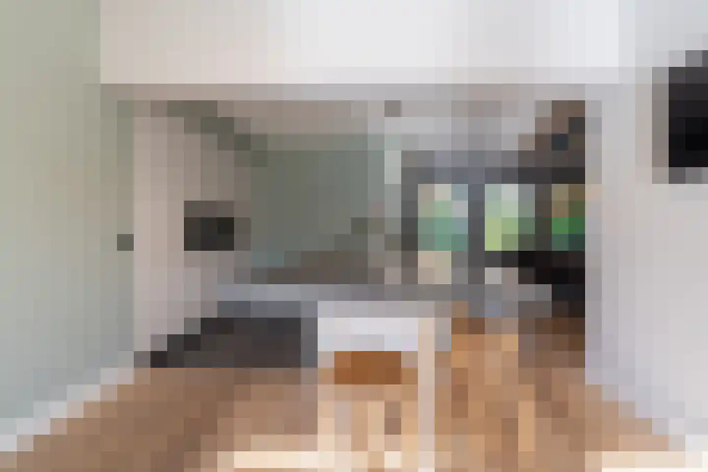 Nemelaer 3 Oosterhout thumbnail 28