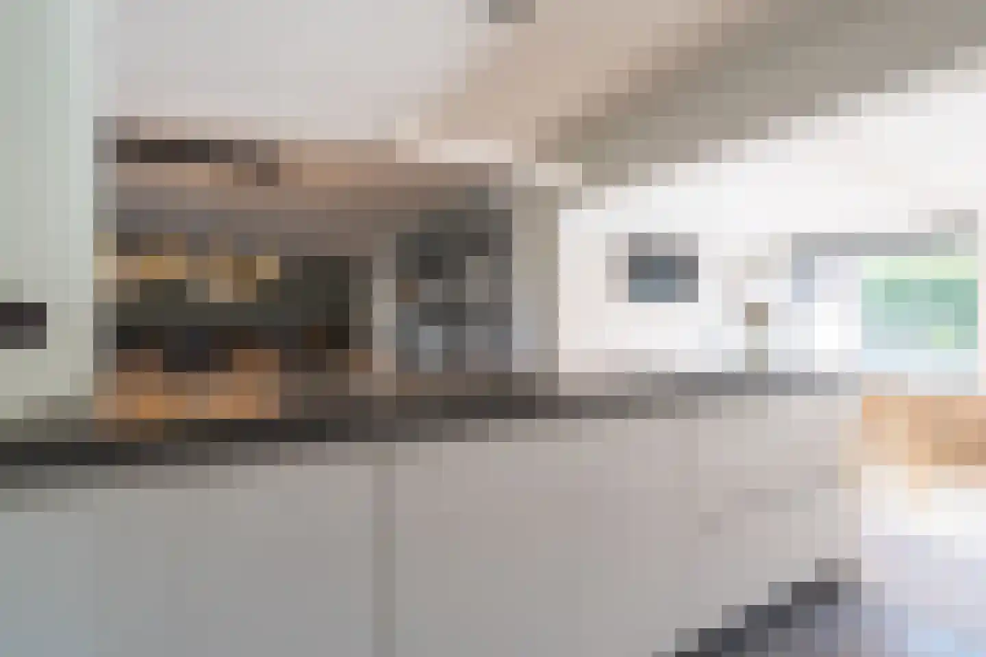 Nemelaer 3 Oosterhout thumbnail 30