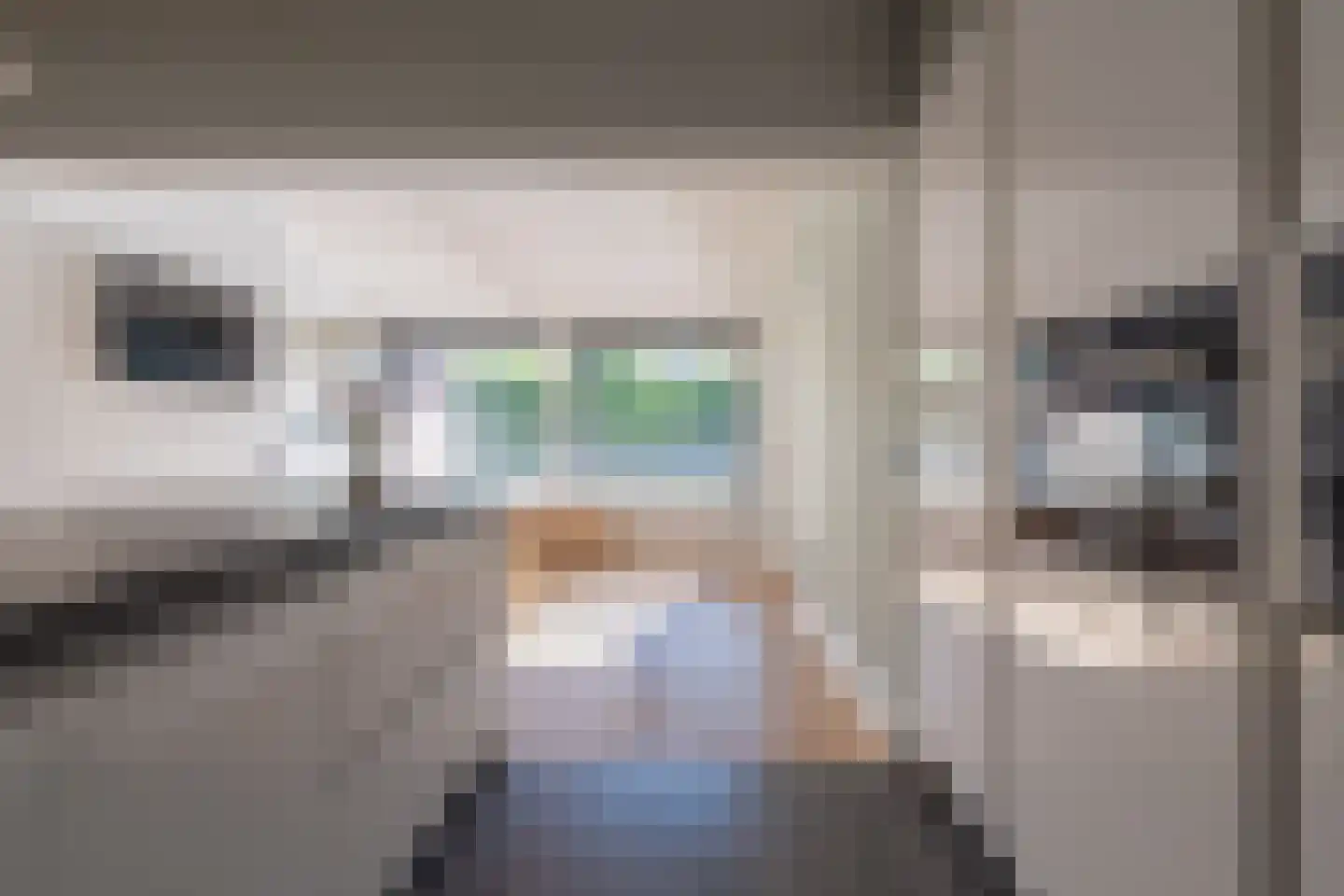 Nemelaer 3 Oosterhout thumbnail 32